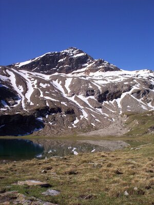 cover image of Einsame Gipfelziele in Graubünden